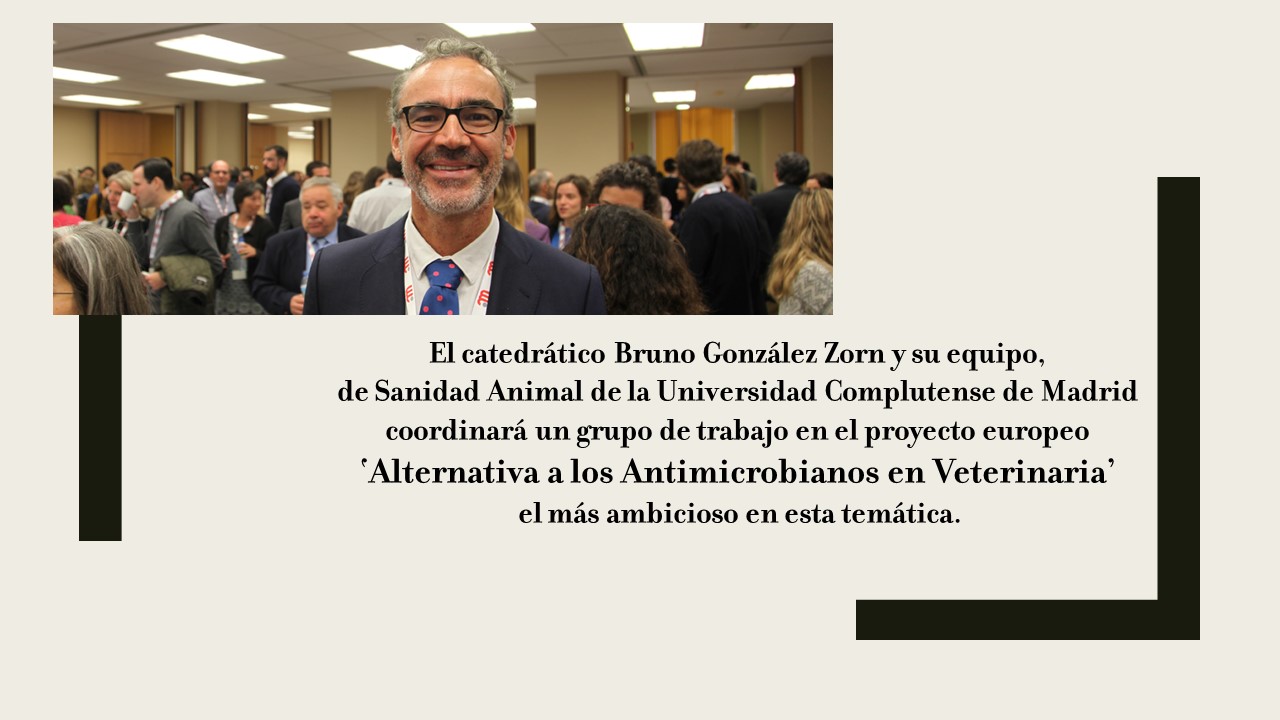 Bruno González Zorn, catedrático de Sanidad Animal de la UCM, coordinará un grupo de trabajo en el proyecto europeo ‘Alternativa a los Antimicrobianos en Veterinaria’